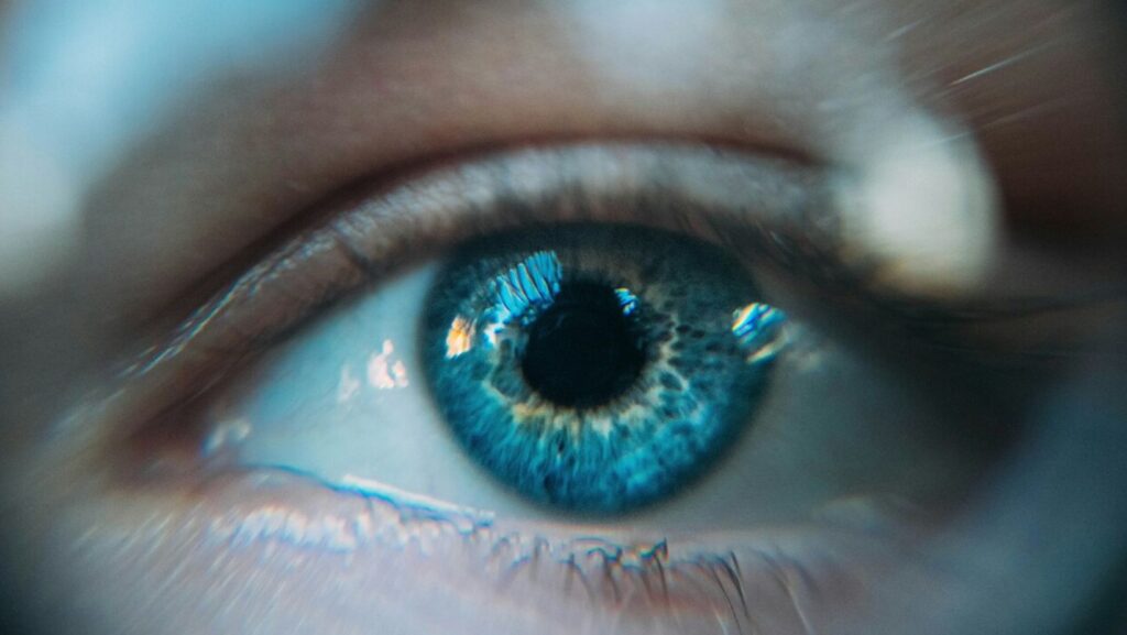 Image2